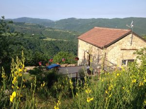 poggio delle ginestre bed & breakfast b&b vacancies house langhe piemonte piedmont italy