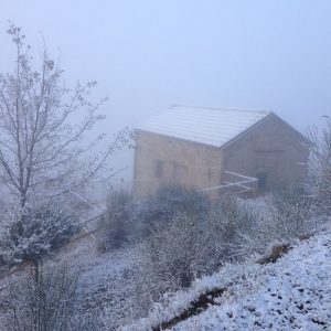 poggio delle ginestre bed & breakfast b&b vacancies house langhe piemonte piedmont italy