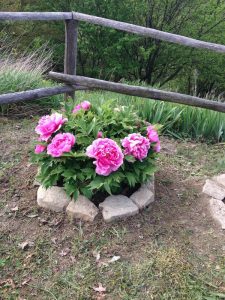 poggio delle ginestre bed & breakfast b&b vacancies house langhe piemonte piedmont italy