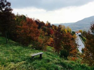 poggio delle ginestre bed & breakfast b&b vacancies house langhe piemonte piedmont italy