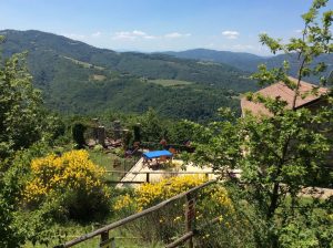 poggio delle ginestre bed & breakfast b&b vacancies house langhe piemonte piedmont italy