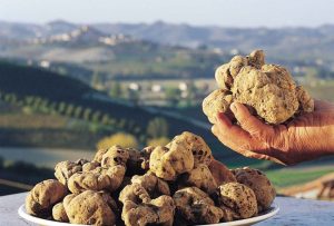 poggio delle ginestre bed & breakfast b&b vacancies house langhe piemonte piedmont italy canelli tartufo truffle