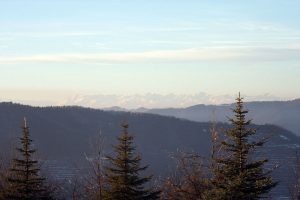 poggio delle ginestre bed & breakfast b&b vacancies house langhe piemonte piedmont italy
