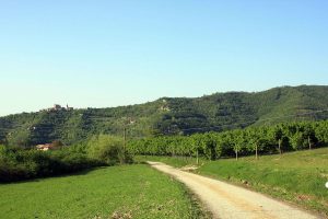 poggio delle ginestre bed & breakfast b&b vacancies house langhe piemonte piedmont italy