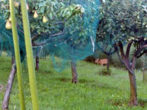 poggio delle ginestre bed & breakfast b&b vacancies house langhe piemonte piedmont italy