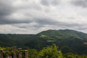 poggio delle ginestre bed & breakfast b&b vacancies house langhe piemonte piedmont italy