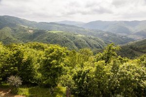 poggio delle ginestre bed & breakfast b&b vacancies house langhe piemonte piedmont italy