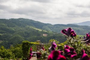 poggio delle ginestre bed & breakfast b&b vacancies house langhe piemonte piedmont italy