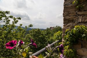 poggio delle ginestre bed & breakfast b&b vacancies house langhe piemonte piedmont italy