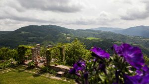poggio delle ginestre bed & breakfast b&b vacancies house langhe piemonte piedmont italy