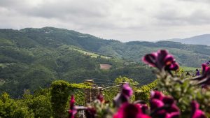 poggio delle ginestre bed & breakfast b&b vacancies house langhe piemonte piedmont italy