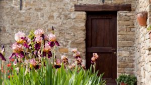 poggio delle ginestre bed & breakfast b&b vacancies house langhe piemonte piedmont italy