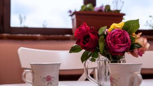 poggio delle ginestre bed & breakfast b&b vacancies house langhe piemonte piedmont italy